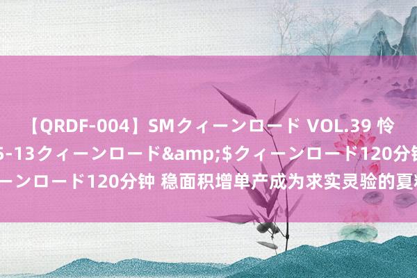 【QRDF-004】SMクィーンロード VOL.39 怜佳</a>2018-05-13クィーンロード&$クィーンロード120分钟 稳面积增单产成为求实灵验的夏粮丰充“密码”