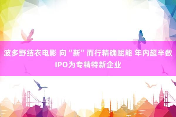 波多野结衣电影 向“新”而行精确赋能 年内超半数IPO为专精特新企业