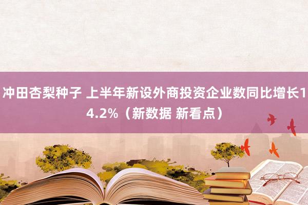 冲田杏梨种子 上半年新设外商投资企业数同比增长14.2%（新数据 新看点）