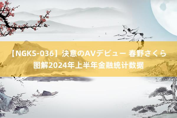 【NGKS-036】決意のAVデビュー 春野さくら 图解2024年上半年金融统计数据