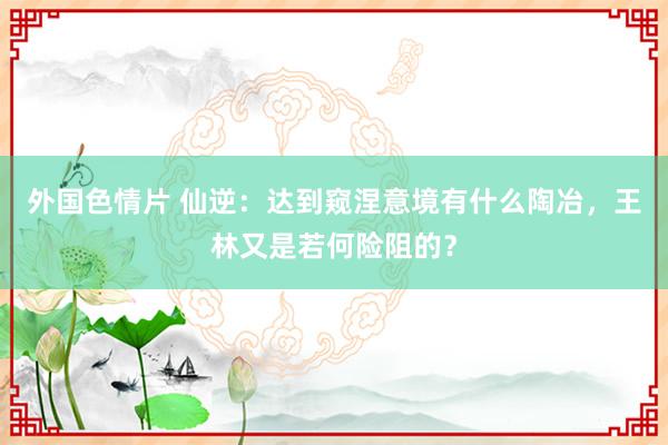 外国色情片 仙逆：达到窥涅意境有什么陶冶，王林又是若何险阻的？