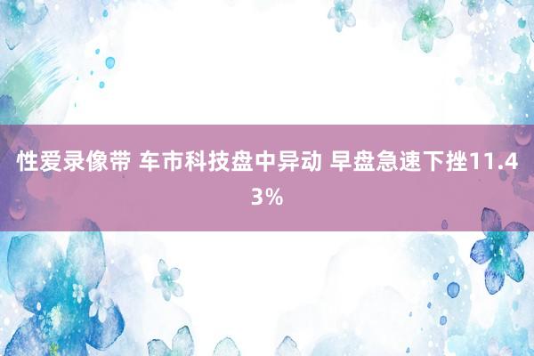 性爱录像带 车市科技盘中异动 早盘急速下挫11.43%