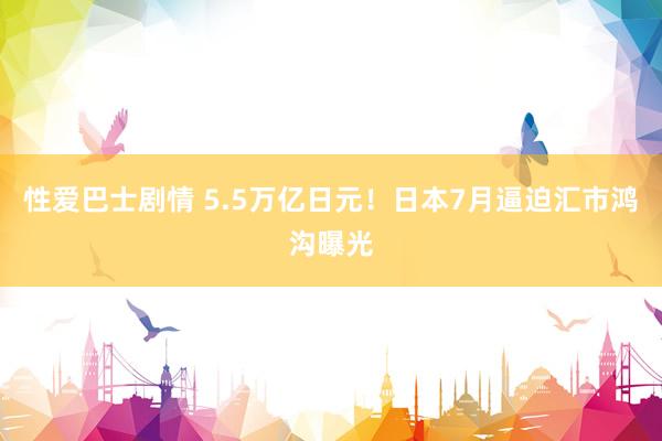 性爱巴士剧情 5.5万亿日元！日本7月逼迫汇市鸿沟曝光