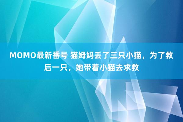 MOMO最新番号 猫姆妈丢了三只小猫，为了救后一只，她带着小猫去求救