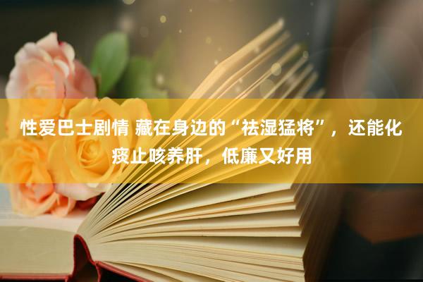 性爱巴士剧情 藏在身边的“祛湿猛将”，还能化痰止咳养肝，低廉又好用