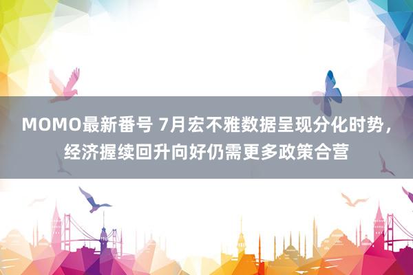 MOMO最新番号 7月宏不雅数据呈现分化时势，经济握续回升向好仍需更多政策合营