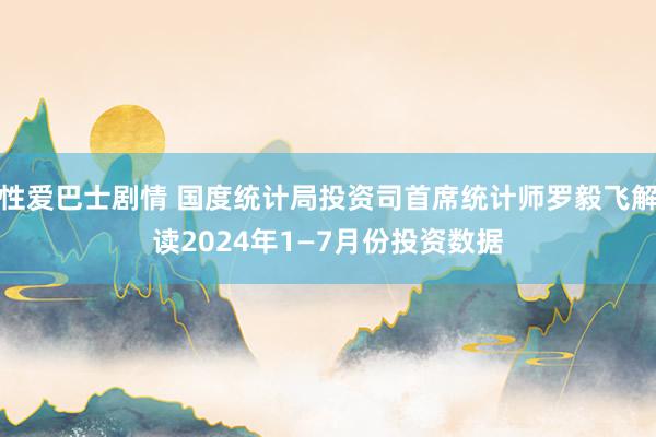 性爱巴士剧情 国度统计局投资司首席统计师罗毅飞解读2024年1—7月份投资数据