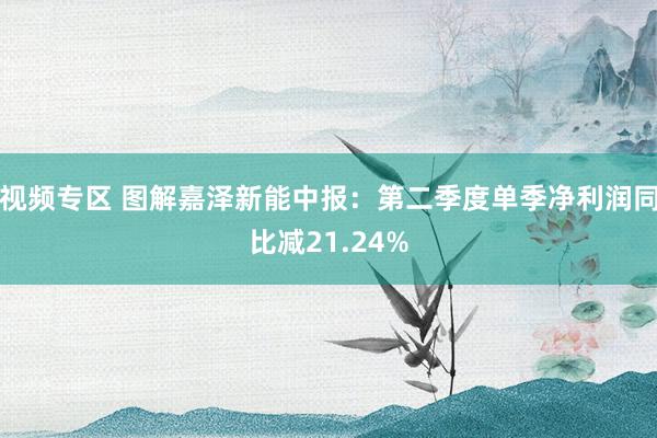 视频专区 图解嘉泽新能中报：第二季度单季净利润同比减21.24%