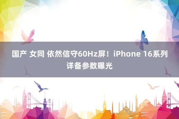 国产 女同 依然信守60Hz屏！iPhone 16系列详备参数曝光