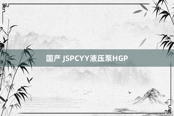 国产 JSPCYY液压泵HGP