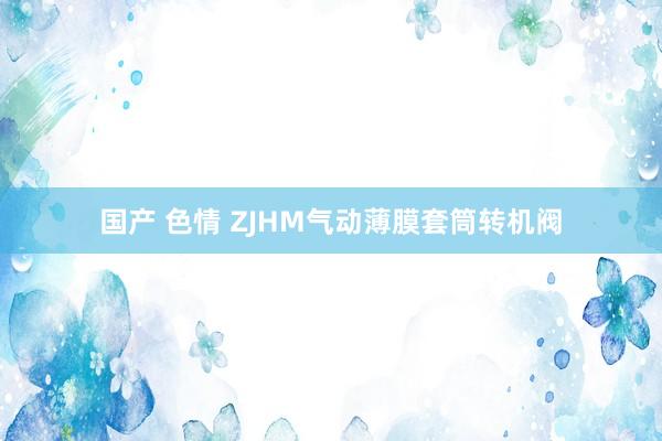 国产 色情 ZJHM气动薄膜套筒转机阀