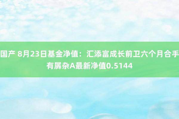 国产 8月23日基金净值：汇添富成长前卫六个月合手有羼杂A最新净值0.5144