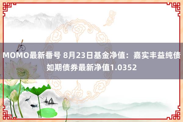 MOMO最新番号 8月23日基金净值：嘉实丰益纯债如期债券最新净值1.0352