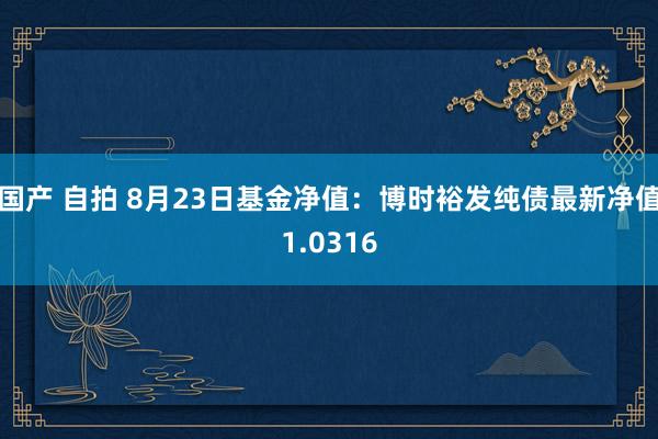 国产 自拍 8月23日基金净值：博时裕发纯债最新净值1.0316