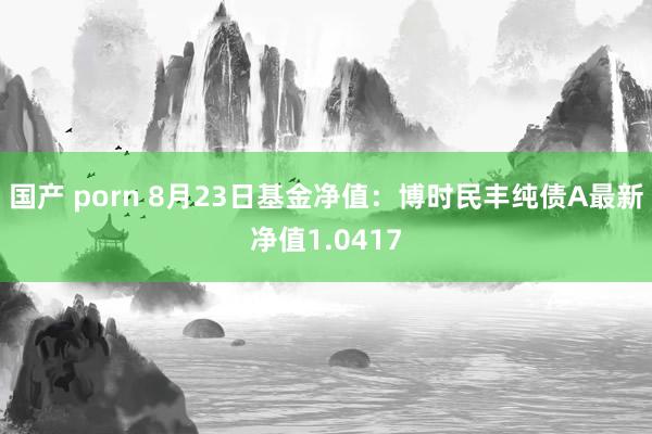 国产 porn 8月23日基金净值：博时民丰纯债A最新净值1.0417