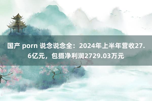 国产 porn 说念说念全：2024年上半年营收27.6亿元，包摄净利润2729.03万元