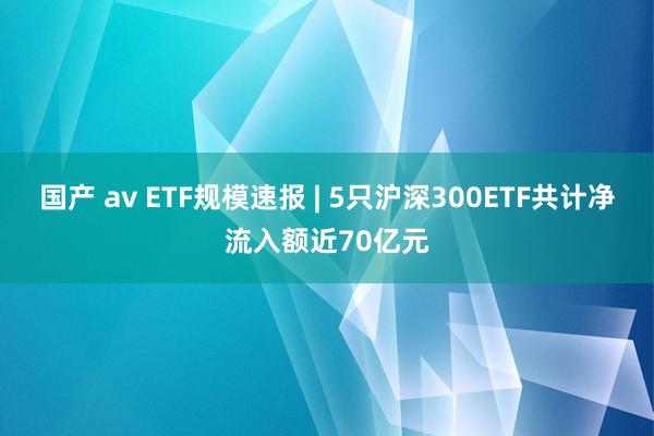 国产 av ETF规模速报 | 5只沪深300ETF共计净流入额近70亿元