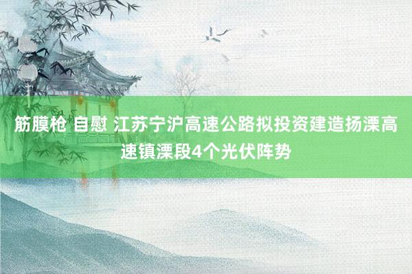 筋膜枪 自慰 江苏宁沪高速公路拟投资建造扬溧高速镇溧段4个光伏阵势