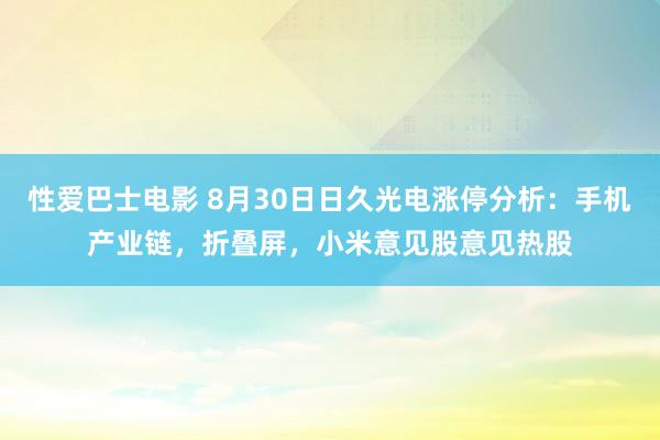 性爱巴士电影 8月30日日久光电涨停分析：手机产业链，折叠屏，小米意见股意见热股