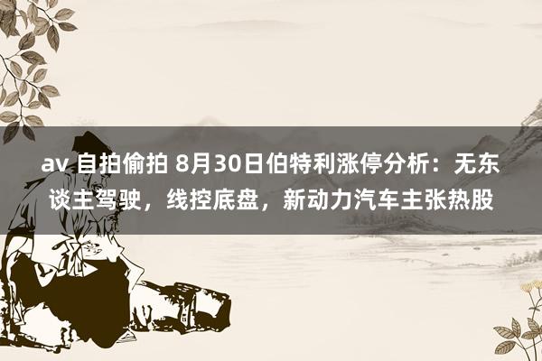 av 自拍偷拍 8月30日伯特利涨停分析：无东谈主驾驶，线控底盘，新动力汽车主张热股