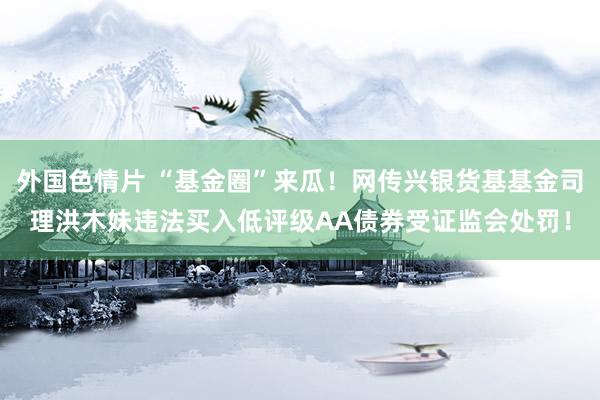 外国色情片 “基金圈”来瓜！网传兴银货基基金司理洪木妹违法买入低评级AA债券受证监会处罚！