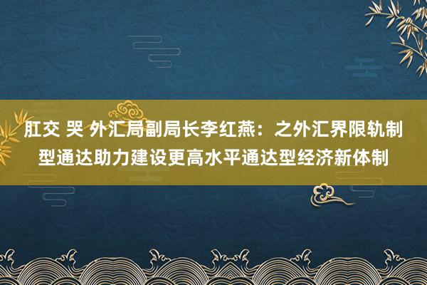 肛交 哭 外汇局副局长李红燕：之外汇界限轨制型通达助力建设更高水平通达型经济新体制