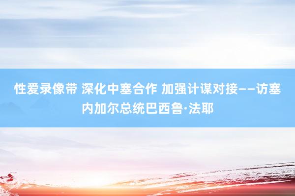 性爱录像带 深化中塞合作 加强计谋对接——访塞内加尔总统巴西鲁·法耶