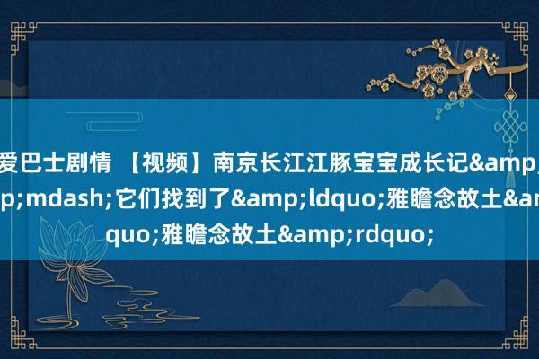 性爱巴士剧情 【视频】南京长江江豚宝宝成长记&mdash;&mdash;它们找到了&ldquo;雅瞻念故土&rdquo;