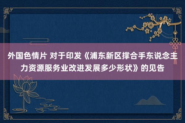 外国色情片 对于印发《浦东新区撑合手东说念主力资源服务业改进发展多少形状》的见告