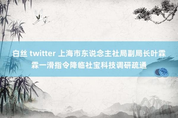 白丝 twitter 上海市东说念主社局副局长叶霖霖一滑指令降临社宝科技调研疏通